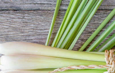Масло от лимонова трева (Cymbopogon citratus) Масло от лимонова трева (Cymbopogon citratus)